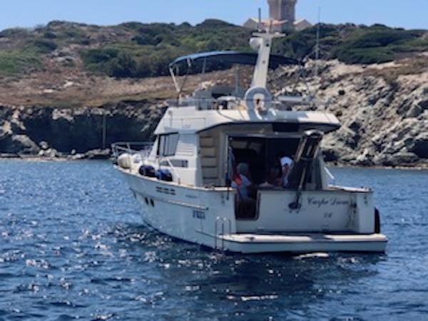 2002 ACM Dynasty 43