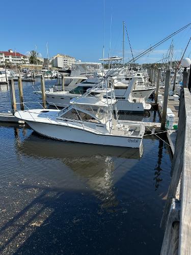 Carolina Classic 35 2001 Carolina Classic 35 boat docked in a marina under clear blue skies.