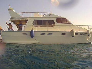 1984 Dellapasqua DC 11