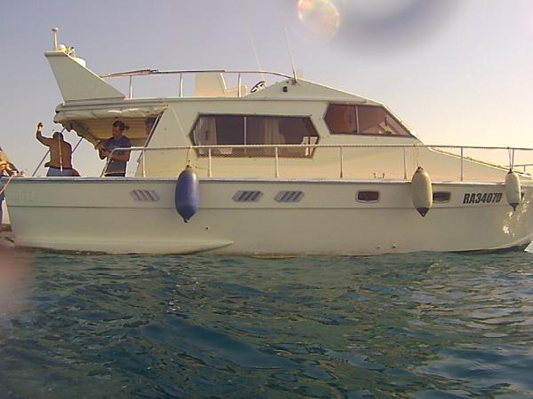1984 Dellapasqua DC 11