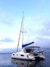 2010 Leopard Leopard 384