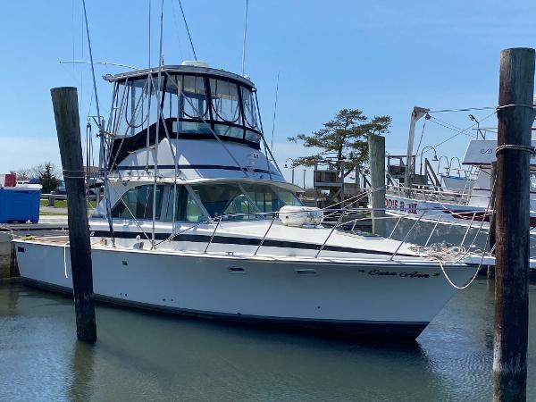1978 Bertram 35 Flybridge