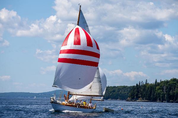 Concordia Yawl Vintage 1958 Concordia Yawl sailing with striped spinnaker on a sunny day.