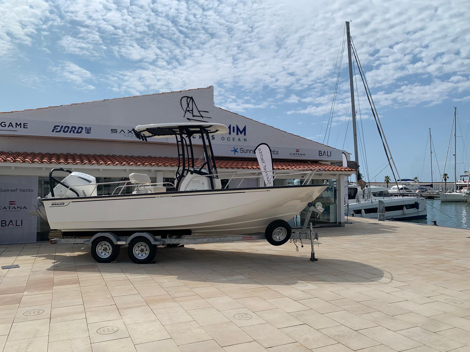 2025 Boston Whaler 210 Montauk