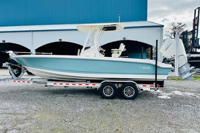 2025 Boston Whaler 250 Dauntless