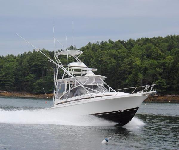 Blackfin Boats For Sale - Boats.com