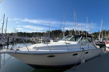 1990 Tiara Sport 33