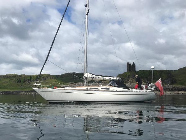 1981 SHE 36