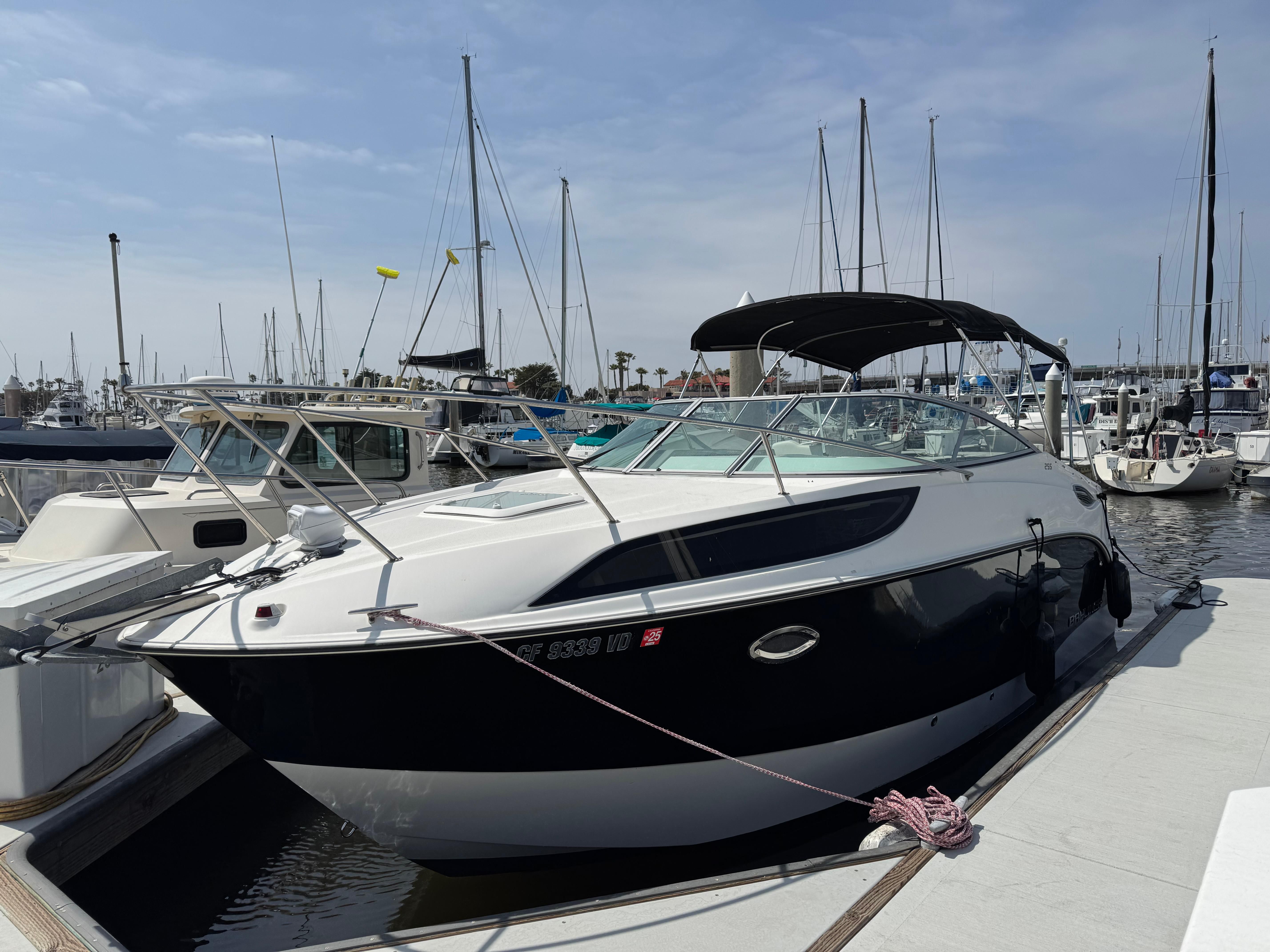 2010 Bayliner 255