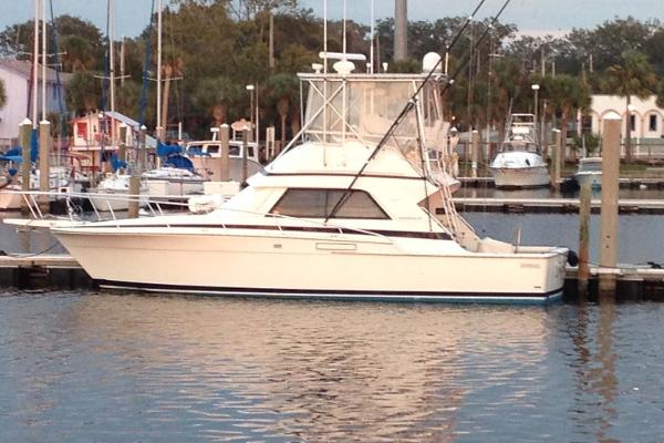 Bertram Convertible