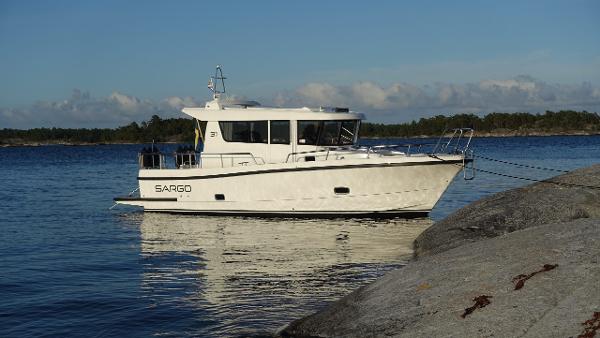 Sargo 31