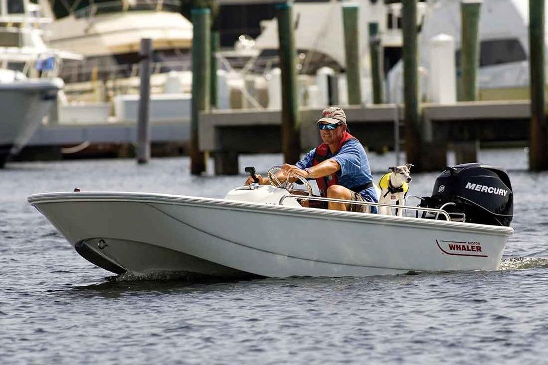 Boston Whaler Boat image