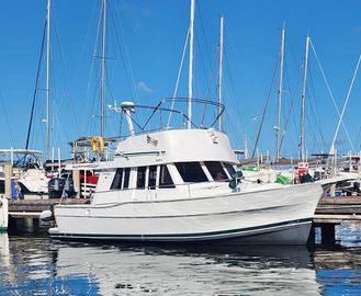 2000 Mainship 390 Trawler
