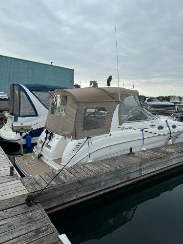 Sea Ray 260 Sundancer