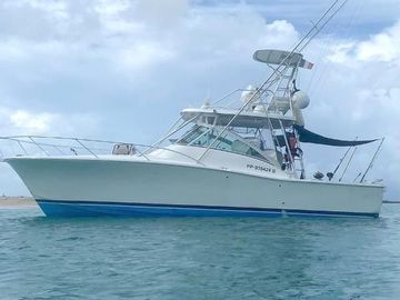 2008 Luhrs 36 Open
