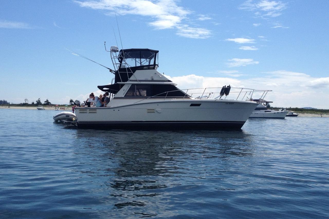 Trojan F-36 Convertible 1986 Trojan F-36 Convertible yacht on calm water, with people enjoying the sunny day.