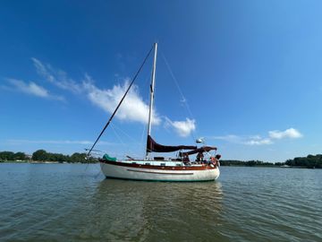 1981 Young Sun 35