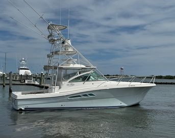 2008 Rampage 41 Express
