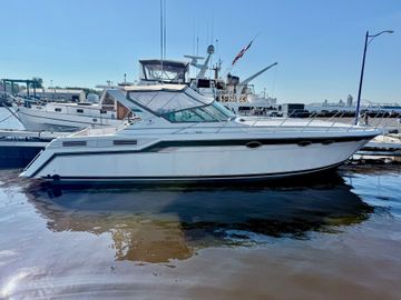 1992 Wellcraft 43 Portofinio