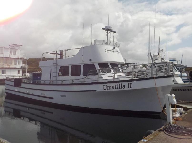 Custom Passenger Vessel