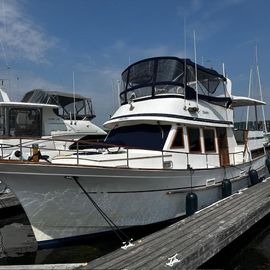 1988 Hershine 41