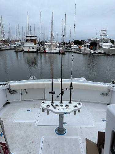 1979 Bertram 45.6