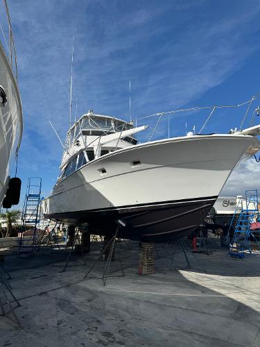 1979 Bertram 45.6