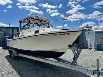 2001 Parker 2510 Walkaround