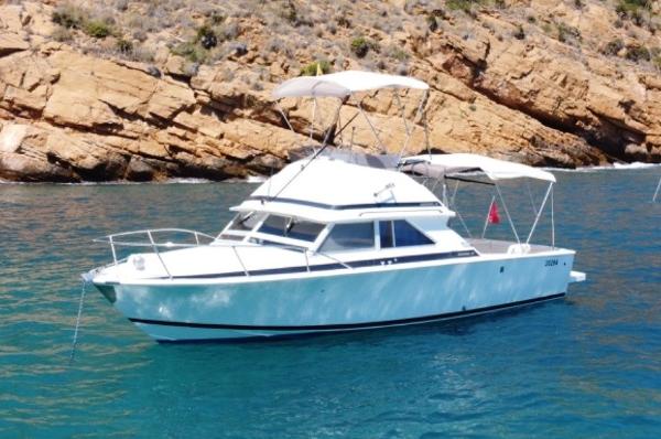 1973 Bertram 285 Flybridge Cruiser
