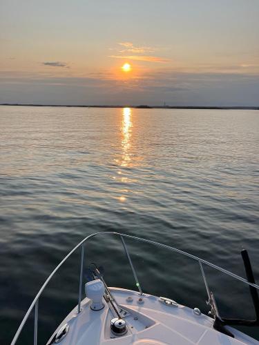 2016 Monterey 295 Sport Yacht