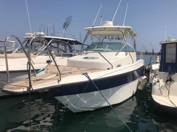 2006 Northstar 320 wa
