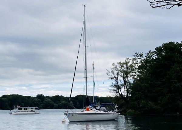 Hunter Legend 37