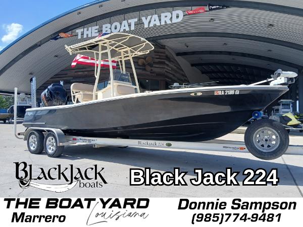 2013 BlackJack 224