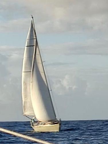1994 Custom cold-molded wood sloop