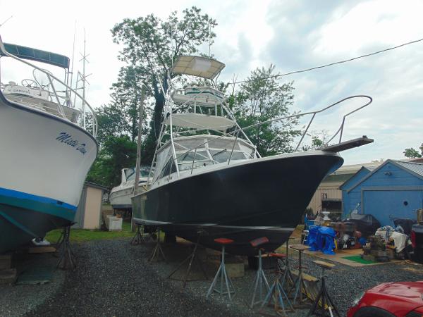 1987 Black Watch Sportfish