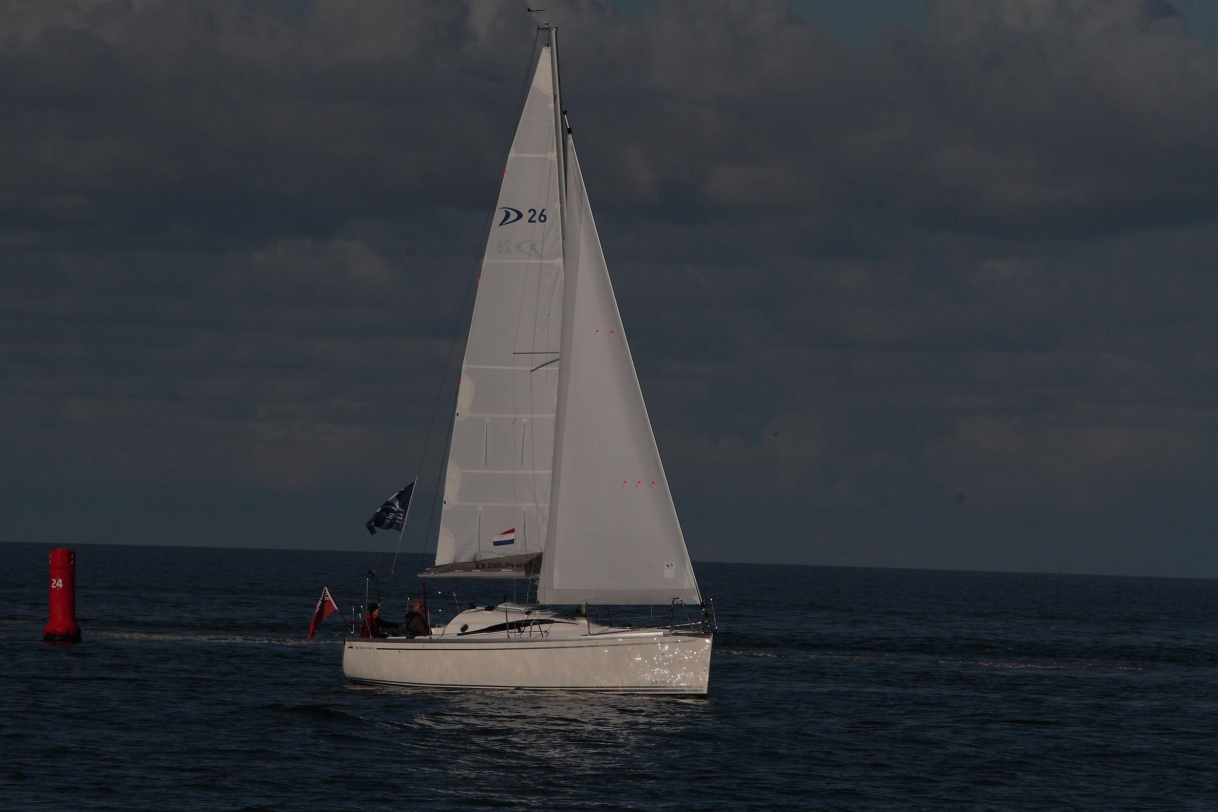 Delphia 26