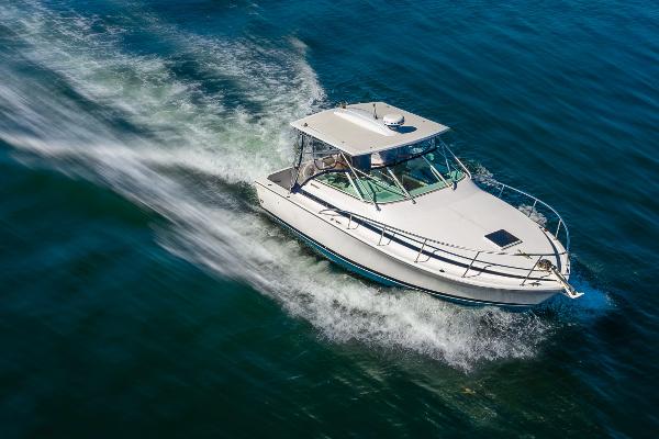 1995 Bertram 30 Moppie