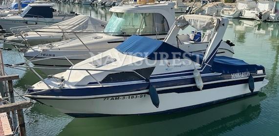 1991 Fibercraft Starfisher 540