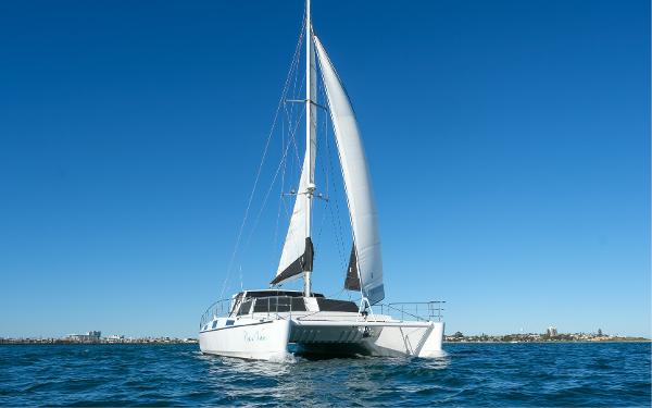 Custom Peter Kerr Lizard Sailing catamaran "Peter Kerr Lizard" 2019 on open water under clear blue sky.