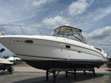 2008 Sea Ray 290 Amberjack