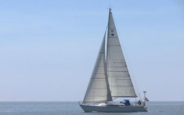 1995 Winner 11.20