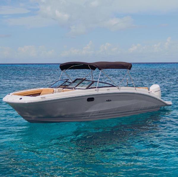 Sea Ray SDX 270 Outboard