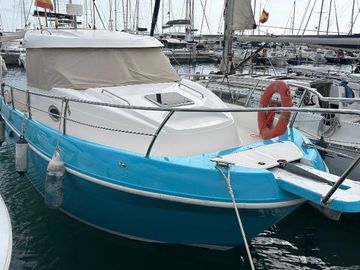 2001 Felco DELFYN 830