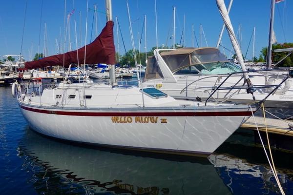 cs 33 sailboat for sale