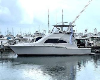 2009 Bertram Convertible