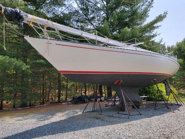 Cherubini Raider 33