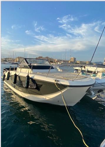 Quicksilver QUICKSILVER ACTIV 875 SUNDECK