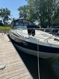 2008 Bayliner 320