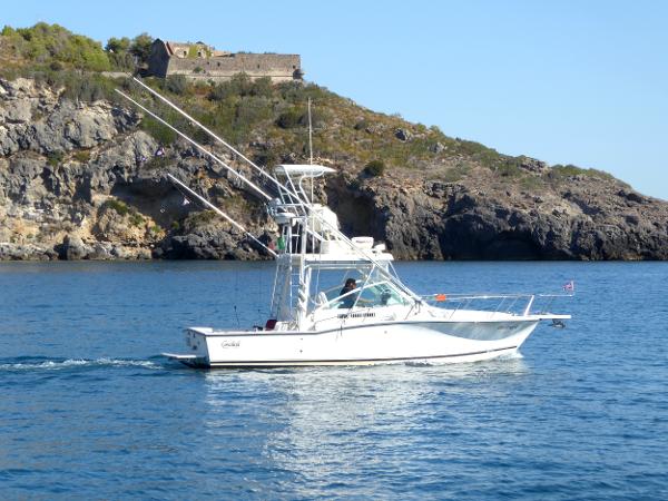 Carolina Classic 28