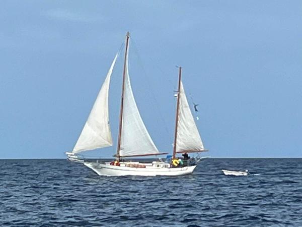 1973 Formosa 41